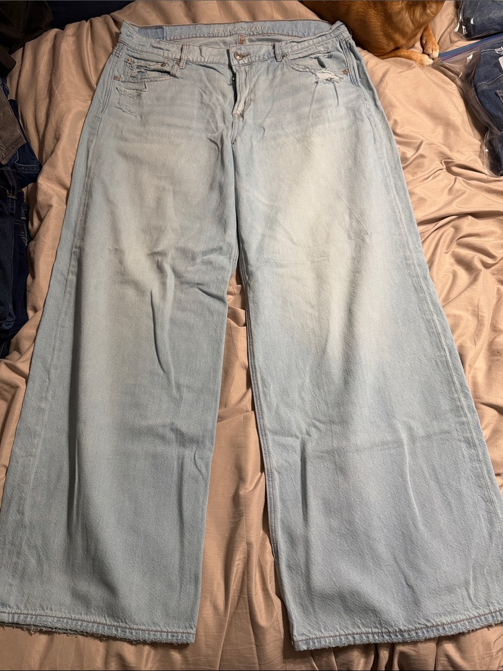American Eagle Outfitters Light Blue Wide-Leg Skater Jeans Low Rise 10S